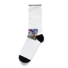 colorpowdersnowの幻想的なおうち Socks