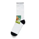 ketapapaのサッカーねこ Socks