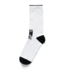 comissonn00の落着き Socks