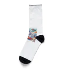 HERAX(へラックス）2号店の南極でアザラシと夢の中へ Socks