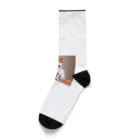 メアリーのチワワの可愛らしい写真です！ Socks