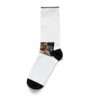 ADOのＦ１レーサー猫 Socks