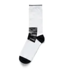 HECreaterの幻想的な貨物機 Socks