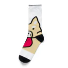 ビビりな番犬くんのビビりな番犬くん Socks