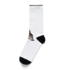 zatto_00のダイエット中の猫 Socks