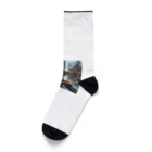 AQUAMETAVERSEの可愛い柴犬　1434 Socks