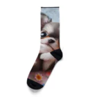 癒しのショップのエンジェルチワワ Socks