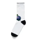 終わらない夢🌈の紫陽花の花と可愛いアマガエル🐸 Socks