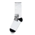 Jonnybanbanの教授の肖像 Socks