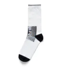 ft141104の「とある国の冬の信号」 Socks