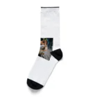 kaerinｰofficeの2匹のかわいい柴犬が仲良く並んで写っています。 Socks