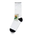 pyoromalの絵具が垂れちゃった・・・ Socks