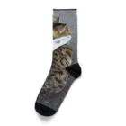 ながしっぽ from.さくらねこの家のとらちゃん　type.C Socks