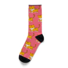 マイロストンのとらちゃん Socks