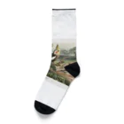 J. Jeffery Print Galleryのオカメインコ Socks