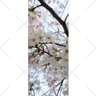 じょにーの桜〜交野〜 Socks