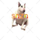 snznのsnzn_BullTerrier ソックス