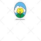 コンビニエンス333のAlbert Einstein  ソックス