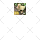 hapi hapiのCOOL&CUTE! DUCK ソックス