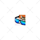 N_Shoplistsのサングラスから顔を出す猫 ソックス