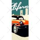 めそぽのカリフォルニアのオレンジの車 ソックス