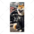 ANTARESのアメリカンライダー柴犬 ソックス