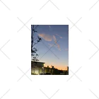 ドリームスケープギャラリーの龍神現る朝の空 Socks