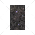 S204_NanaのNGC1333 Socks