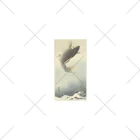 public2024の跳ね鯉 (1900 - 1930) ソックス