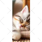 終わらない夢🌈の眠るにゃんこ😺zzz ソックス