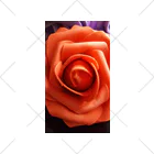 Karunの魅力的な赤い薔薇 ソックス