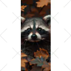 Raccoon Cool PlanetのRaccoon Cool Planet ソックス