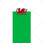 お絵かき屋さんのウェールズの旗 ソックス