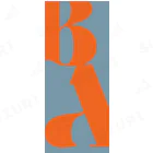 KOINT コイントのオレンジ・ソルベ　orange solbe Socks