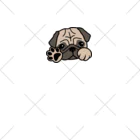 パグ PUG ぱぐ  OHMAI GALLERYのPUG-ぱぐ-パグ-パーグーTシャツ ソックス