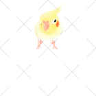 まめるりはことりのオカメインコ　おすましルチノー【まめるりはことり】 ソックス