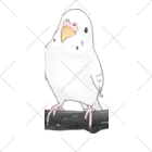 まめるりはことりのまったりセキセイインコちゃん【まめるりはことり】 ソックス