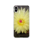 でおきしりぼ子の実験室のサボテンの花 Soft Clear Smartphone Case