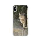 シンたまのジト目猫ちゃん Soft Clear Smartphone Case