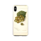 ArtShirtのScuppernong  Soft Clear Smartphone Case