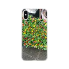 コビトカバの初夏の花壇 Soft Clear Smartphone Case