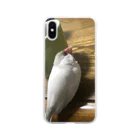 tentenの文鳥　シナモン　スマホケース ソフトクリアスマホケース