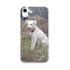 ちなおの我が家の愛犬　バンくん Soft Clear Smartphone Case