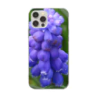 でおきしりぼ子の実験室のMuscari botryoides(1:1) Soft Clear Smartphone Case