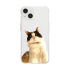 三毛猫の朝と黒猫の夜@好奇心倶楽部のホラーな三毛猫の朝（シンプル） Soft Clear Smartphone Case