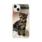 THE TASEKIのねこのニコ　そのさん Soft Clear Smartphone Case