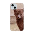 🐱(*ΦωΦ*)の猫🐱 Soft Clear Smartphone Case