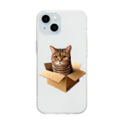 猫の小梅お嬢さんの小梅ちゃん　箱猫 Soft Clear Smartphone Case