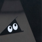 Photo Goods by Hanako Kimuraの木村華子個展記念 ソフトクリアスマホケースの素材感