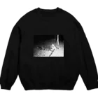 tez_tzkのトレイルカメラに写ったアライグマ Crew Neck Sweatshirt